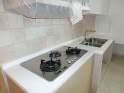 Cairnhill Plaza (D9), Apartment #588663171
